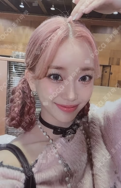 Teddy Bear Gift Edition Ver.