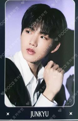 NIGHTGARDEN TREASURE TRADING PHOTO CARD TYPE 2