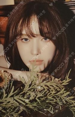 The ReVe Festival 2022 - Birthday KEY RING SET WENDY photocard image