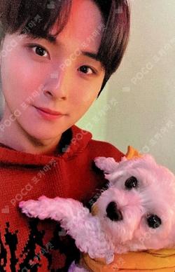 DKZ Year End Project Song : It’s All Right Part.3 에버라인 럭키드로우 MinGyu photocard image