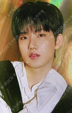 NIGHTGARDEN TREASURE TRADING PHOTO CARD TYPE 1