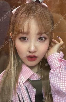 Teddy Bear SNS EVENT Sieun photocard image