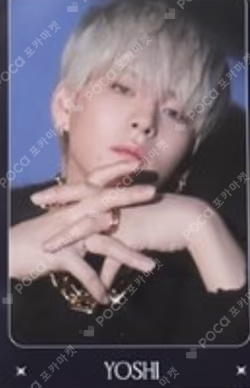 NIGHTGARDEN TREASURE TRADING PHOTO CARD TYPE 2