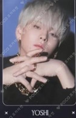 NIGHTGARDEN TREASURE TRADING PHOTO CARD TYPE 2 YOSHI photocard image