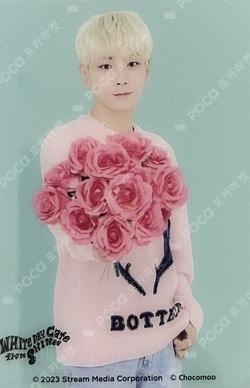 WHITE DAY Cafe from SHINee CLEAR PHOTO CARD Key photocard image