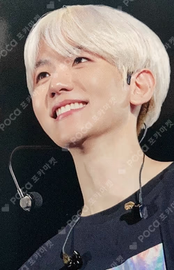 Exploration Dot In Japan Dvd
