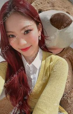 Teddy Bear -Japanese Ver. Limited ver.