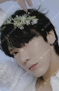 2023 SEASON'S GREETINGS PHOTO PACK