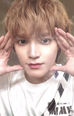 Ay-Yo RANDOM TRADING CARD SET B ver.