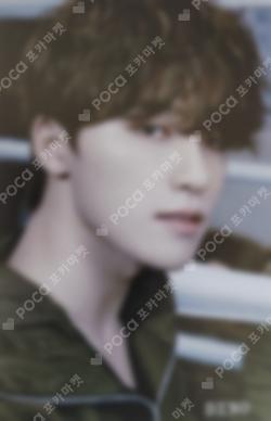 Seventeen DINO photocard image