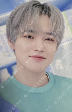 DREAM LAUNDRY SHOP PHOTO HOLDER & STICKER