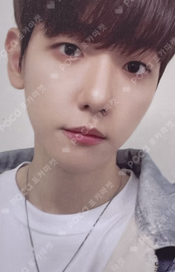 [TEO-LAE-GI ZIPDURI] RANDOM LUCKY CARD SET B ver.