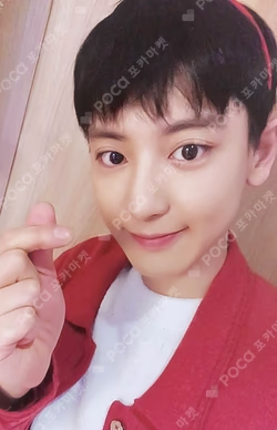 2022 PINK CHRISTMAS PHOTO CARD RANDOM PACK CHANYEOL photocard image