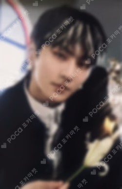 DARK BLOOD PHOTO CARD & TIN CASE SET