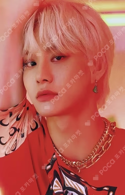 Ncit Postcard+Photo Frame Set