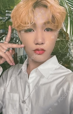 HARMONY : ZERO IN WONDERWALL