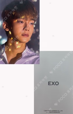 2019 Season Greeting 11St
