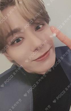 PYGMALION DEAR MY MUSE