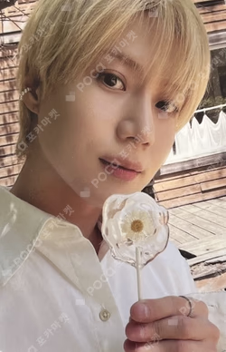 THE MOMENT OF Shine RANDOM TRADING CARD SET