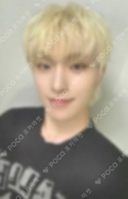 8th Anniversary DINO EARRINGS