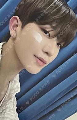 BOYHOOD DEAR MY MUSE SUNGJUN photocard image