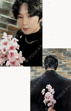 MALUS EVERLINE LEEDO photocard image