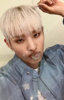 HARMONY : ALL IN EVERLINE