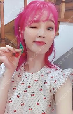 Dear Ohmygirl Naver Shopping