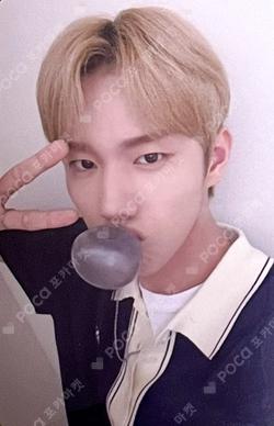 HARMONY : ALL IN EVERLINE