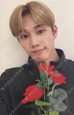 HARMONY : ALL IN APPLEMUSIC LUCKY DRAW INTAK photocard image