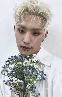 HARMONY : ALL IN FNC STORE