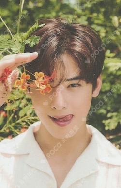 2022 OFFICIAL PHOTO BOOK [MAGAZINE] TRADING CARD ChaEunwoo photocard image