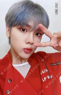 Tin Case Photocard Set
