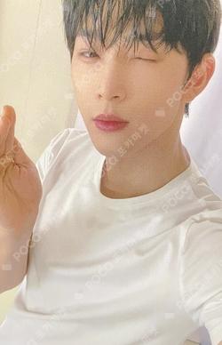 MALUS DEAR MY MUSE LEEDO photocard image