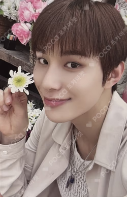 Perfume RANDOM TRADING CARD SET