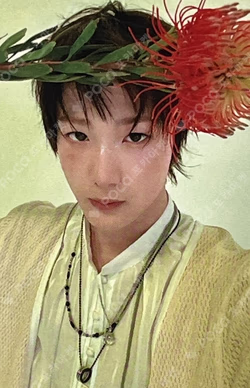 HARMONY : ALL IN MUSICART