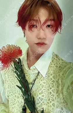 HARMONY : ALL IN MUSICART