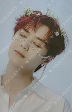 2023 SEASON'S GREETINGS 11st