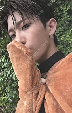 BOYHOOD EVERLINE SUNGJUN photocard image