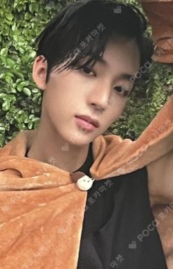 BOYHOOD EVERLINE HWI photocard image