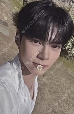 YOUTH IN THE SHADE  SHADE Ver.