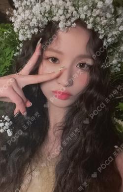 A Midsummer NMIXX’s Dream WITHMUU POP-UP STORE  PHOTOCARD DECO KIT