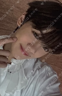 YOUTH IN THE SHADE EVERLINE