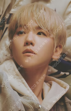 EXIST EXOcial Club – Cream Soda RANDOM TRADING CARD SET B ver.