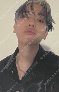 Pocamarket, EXO BAEKHYUN EXIST MUSIC KOREA K-pop Photocard