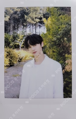 YOUTH IN THE SHADE JUMP UP LUCKY DRAW KIM GYUVIN photocard image