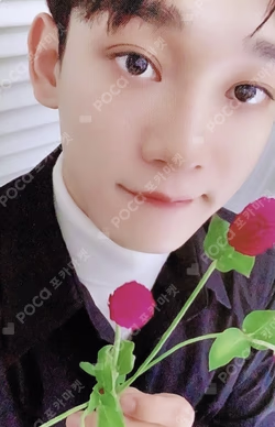 Dear My Dear My Dear Ver.