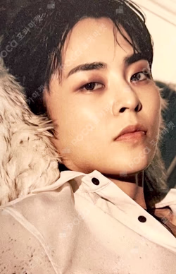 EXIST EXOcial Club – Cream Soda RANDOM TRADING CARD SET D ver.