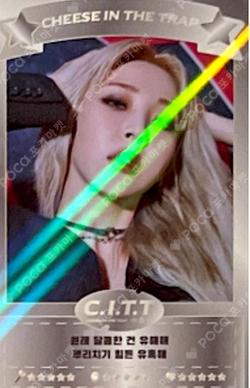 C.I.T.T (Cheese in the Trap) LIMITED PHOTO CARD