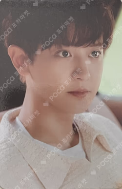 EXIST EXOcial Club – Cream Soda RANDOM TRADING CARD SET B ver.